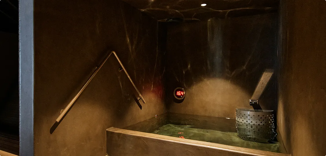 sauna100 Sauna